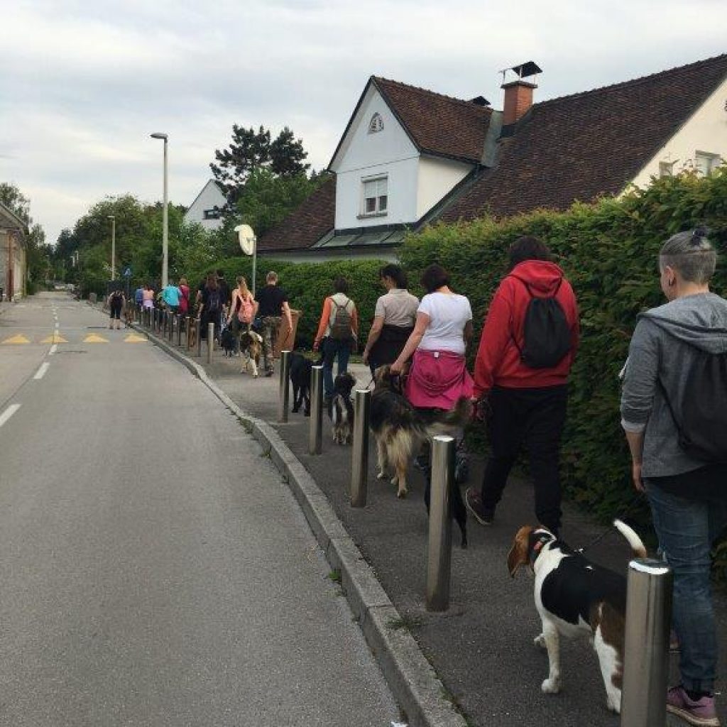 SOCIALIZACIJA
TRENING
DRUŽENJE